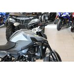 BMW F900R