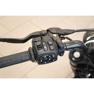 HD Sportster S