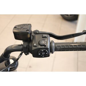 HD Sportster S