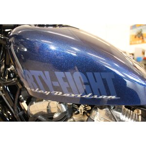 HD XL 1200 X Forty-Eight