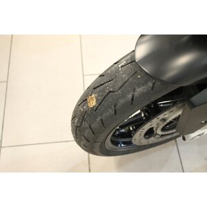 BMW S1000R