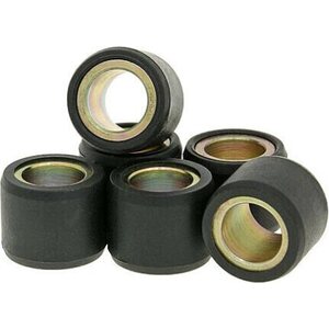 Variaattorin rullasarja 17x12 mm 4,6g