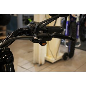 HD XL1200X Forty Eight