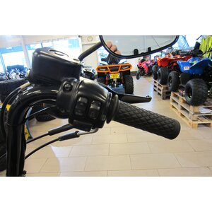 HD XL 883 Iron