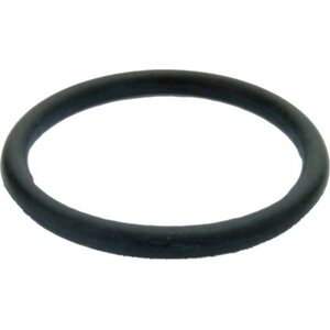 Honda Front and rear differential fill plug O-ring