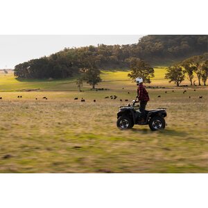 CFMOTO CFORCE 625 short